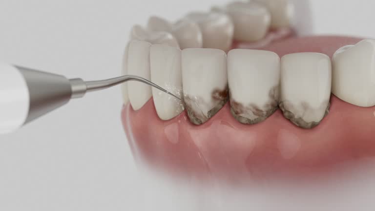 Reliable Dental contractor in Blaine County County, MT by Dentist Open Now